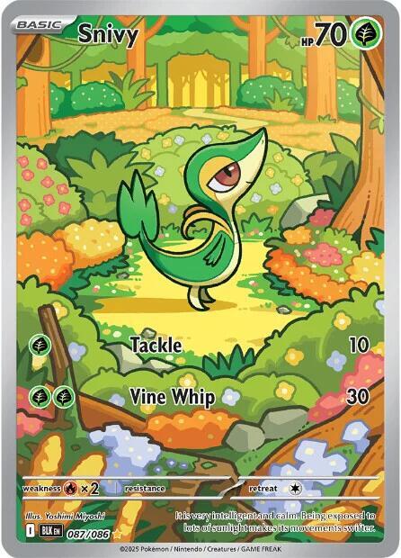 Snivy 087/086 - Black Bolt - Illustration Rare